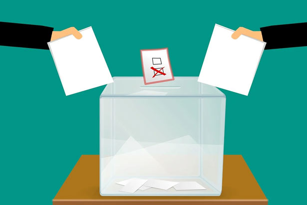elezioni