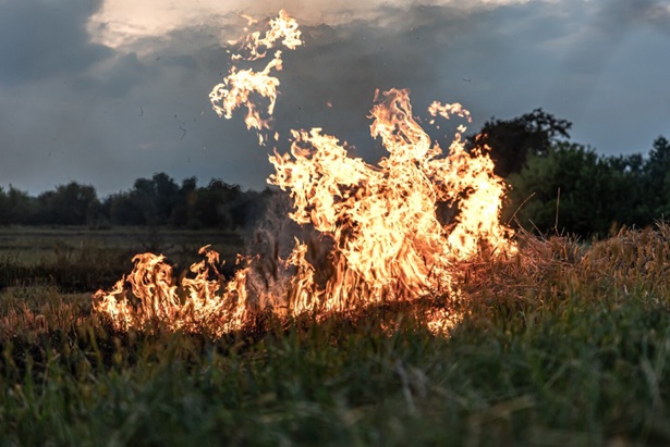 incendio sterpaglie