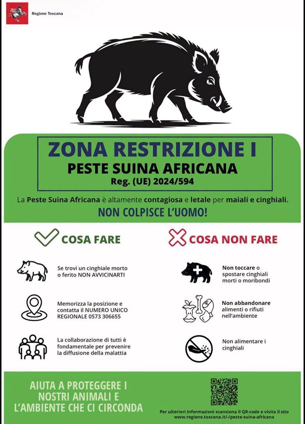 locandina psa