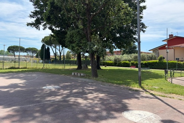 campo