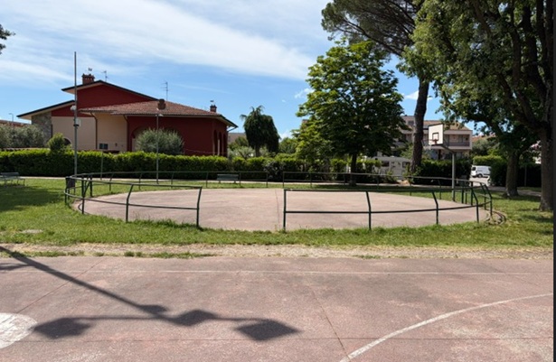 basket