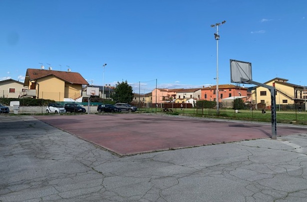 basket