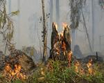 Incendi, dal 1 luglio vietato accendere fuochi in tutta la Toscana