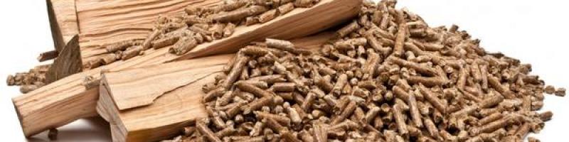 Indagine esplorativa relativa allâ€™utilizzo di biomassa (legna, pellet e simili) come forma di riscaldamento